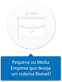 Pequena ou Média Empresa que deseja um sistema flexível